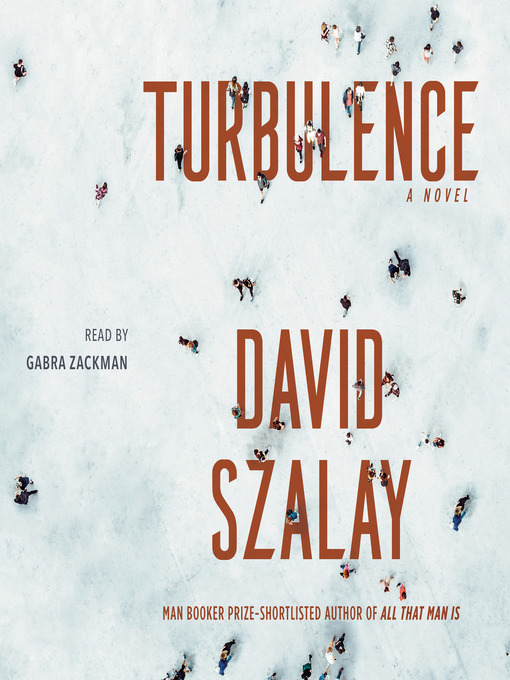 Cover image for Turbulence